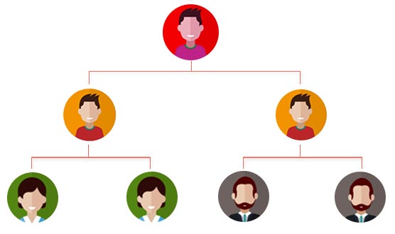 binary MLM plan patna